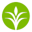 CF logo