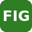 FIG logo