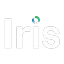 IREN logo