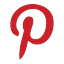 PINS logo
