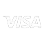 V logo